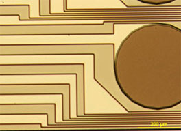 The microfabricated electrode surface and conducting circuitry