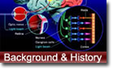 Background and History