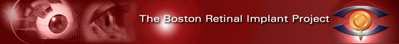 Boston Retinal Implant Header displaying a montage of technology and the human eye as well as the logo for the project