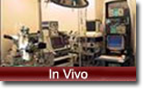 In Vivo